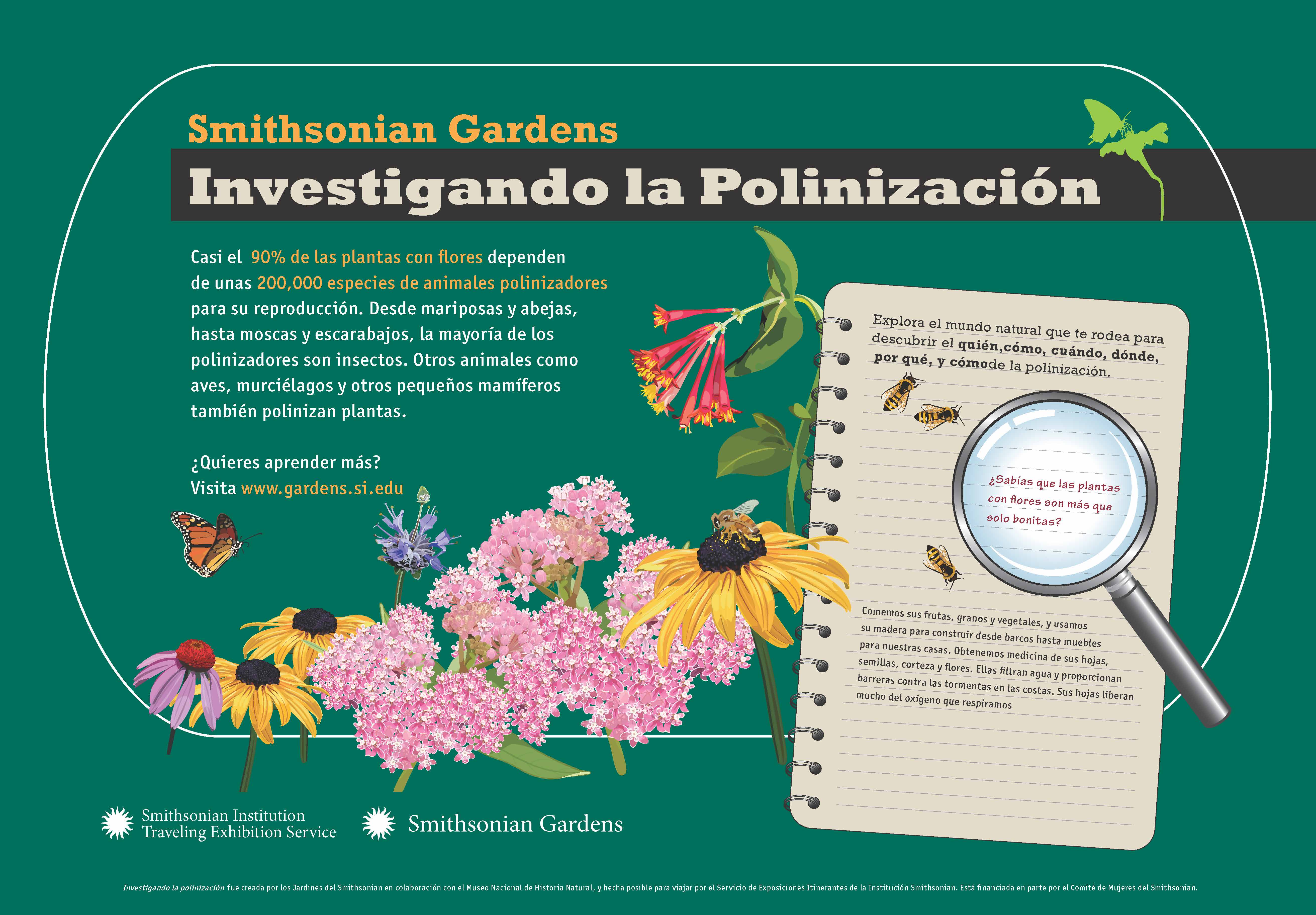 pollination-investigation-poster-exhibition