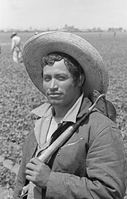 Bittersweet Harvest: The Bracero Program, 1942 - 1964