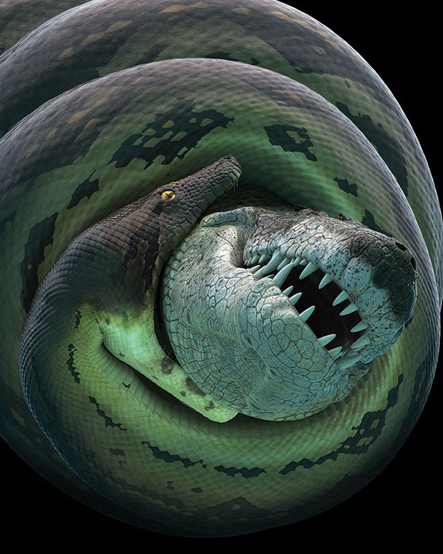 prehistoric snake titanoboa