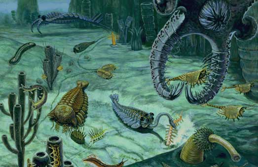 The Burgess Shale: Evolution’s Big Bang